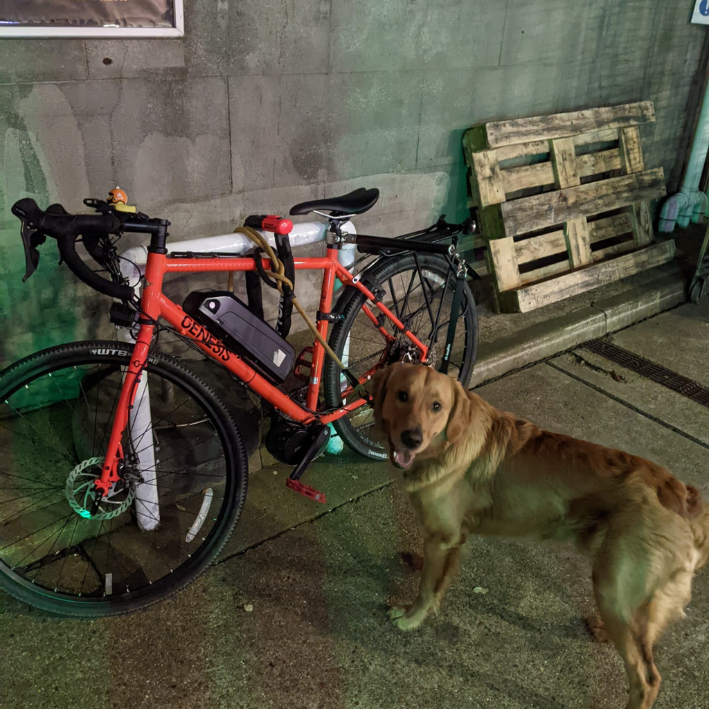 How Electric Bikes Are Transforming Sustainable Transportation in Urban UK