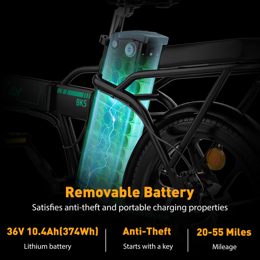 BK5S Folding Electric Bike