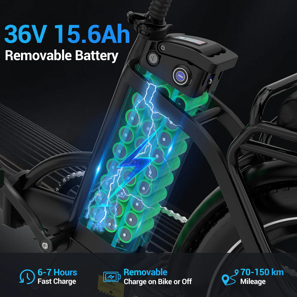 BK6S L1 Electric Folding Bike
