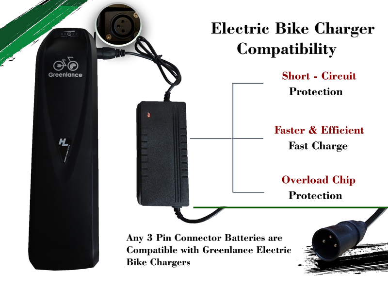 5A Fast Charger for Electric bicycle 